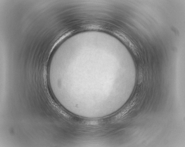 X0000116380798200912231359