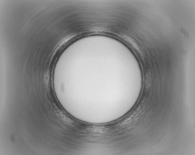 X0000116380831200912231359
