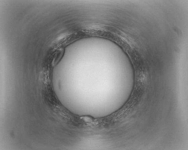 X0000116380965200912231357