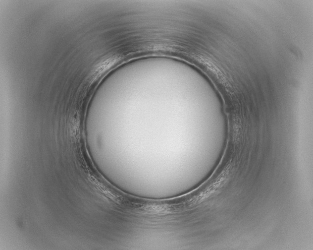 X0000116380977200912231357