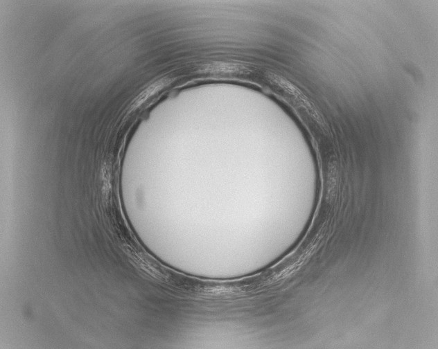 X0000116381017200912231356