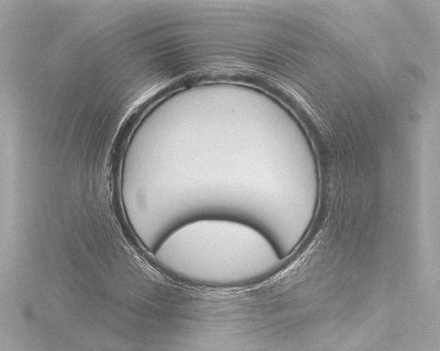 X0000116381018200912231356