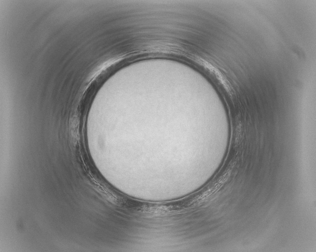 X0000116381019200912231356