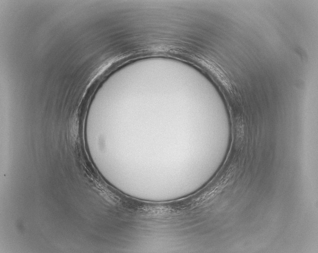 X0000116381023200912231356