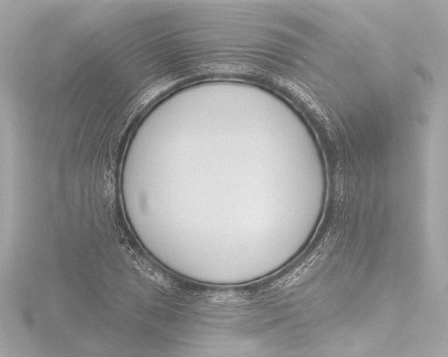 X0000116381025200912231356