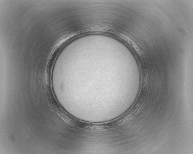 X0000116381027200912231356