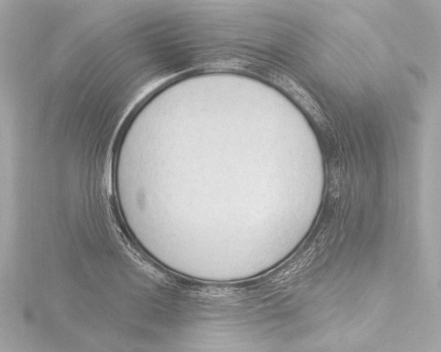 X0000116381036200912231356