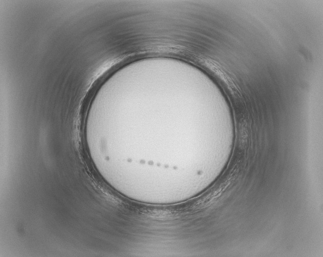 X0000116381071200912231356