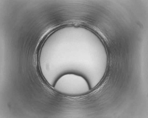 X0000116381075200912231356