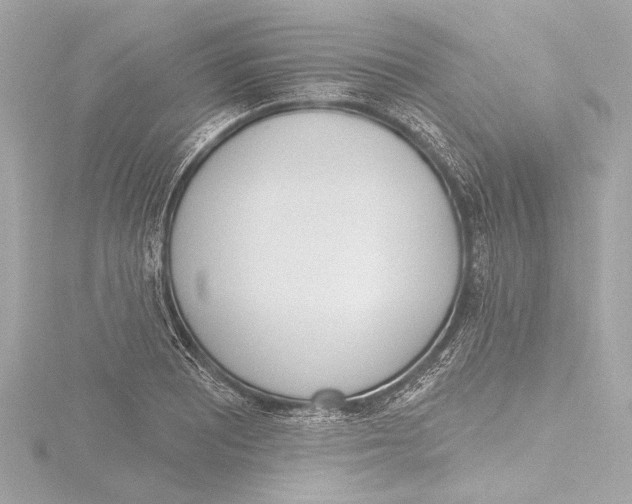 X0000116381081200912231355