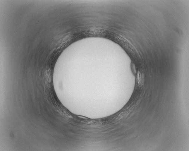 X0000116381107200912231355