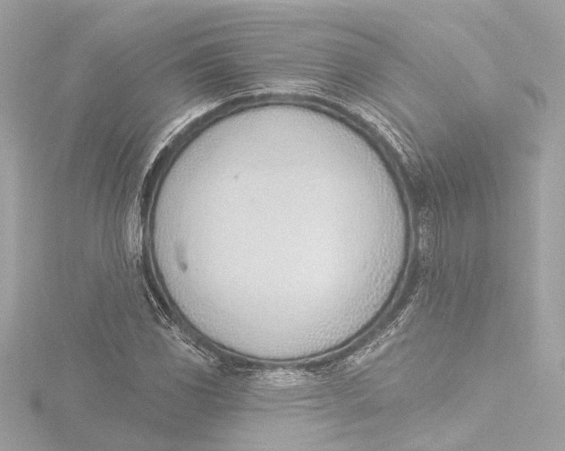 X0000116381117200912231355