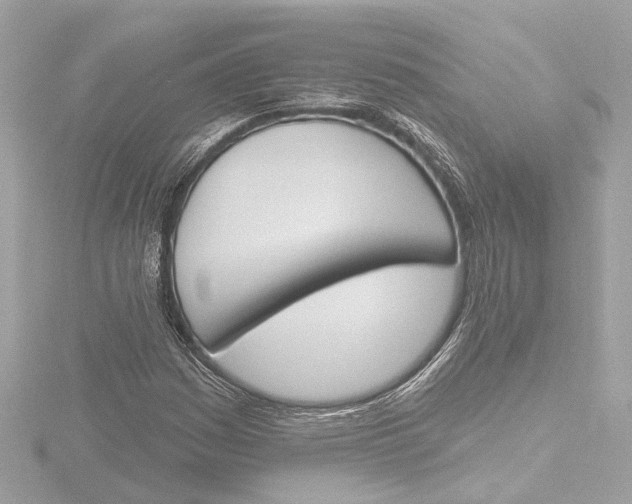 X0000116381161200912231354