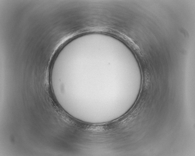 X0000116381174200912231354
