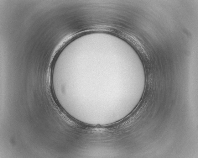 X0000116381180200912231354
