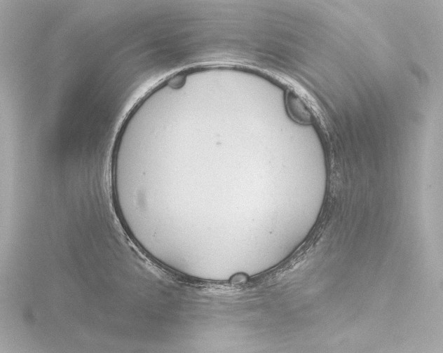 X0000116381191200912231354