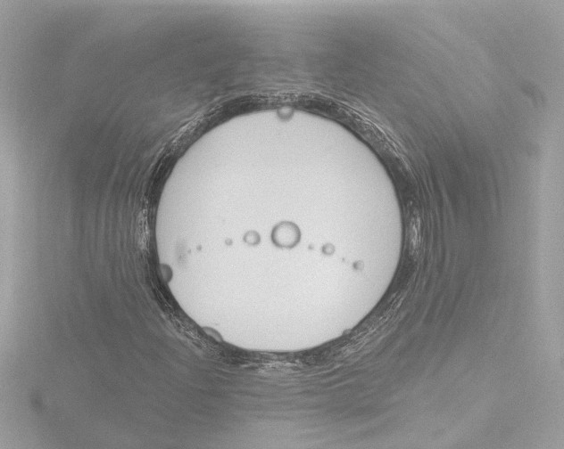 X0000116381204200912231353