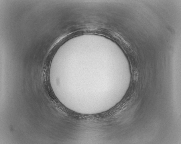 X0000116381208200912231353