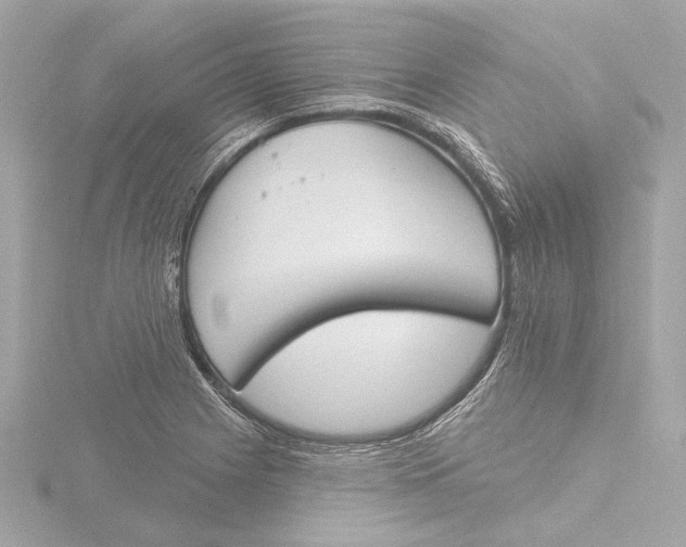 X0000116381225200912231354