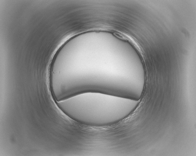 X0000116381243200912231354