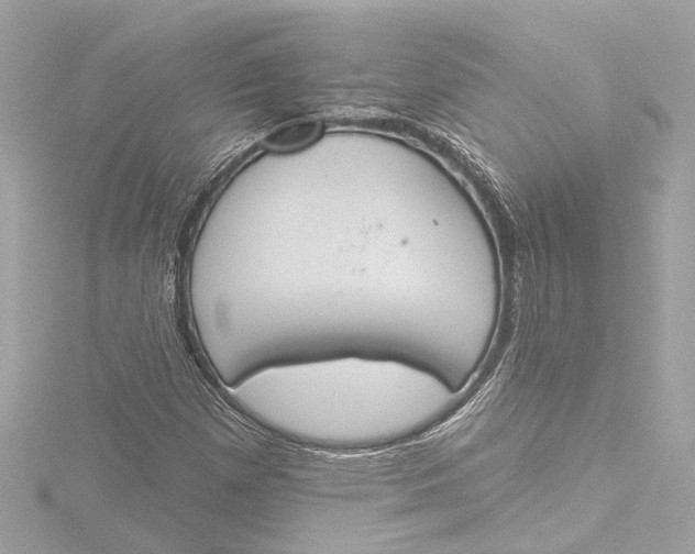 X0000116381257200912231353