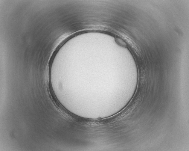 X0000116381275200912231353