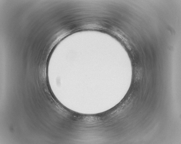 X0000116381322200912231352