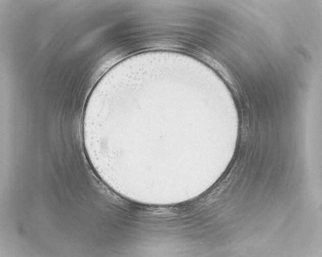 X0000116381338200912231353