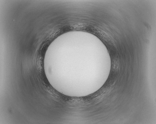 X0000116381346200912231352