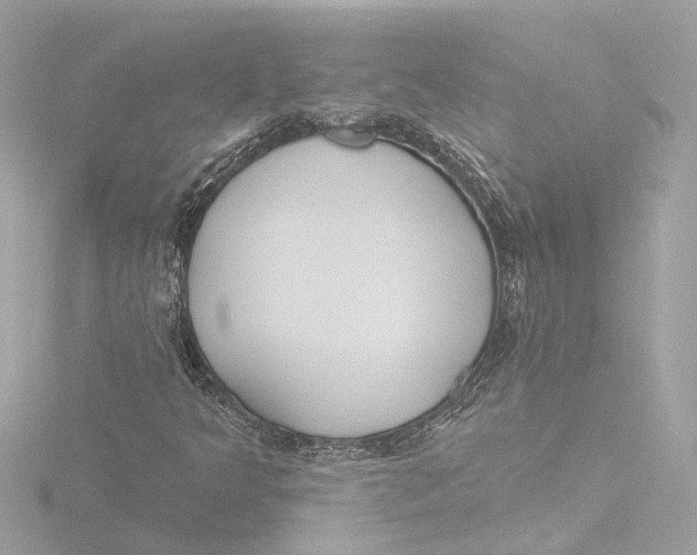 X0000116381349200912231352