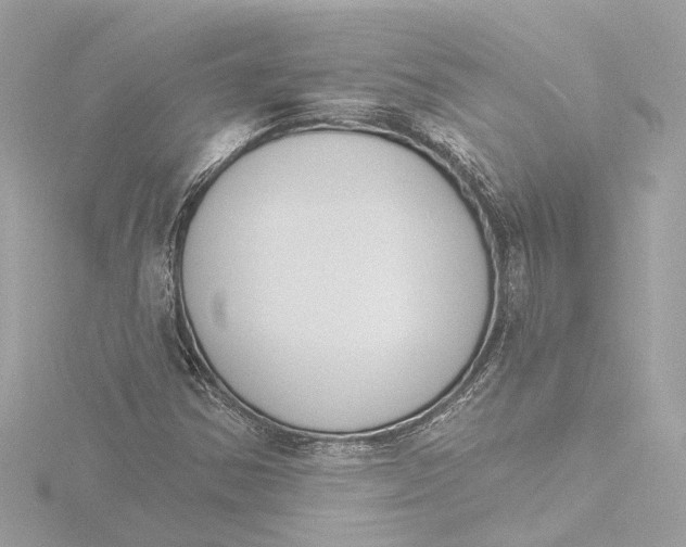 X0000116381354200912231352