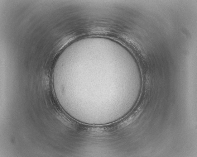 X0000116381401200912231351