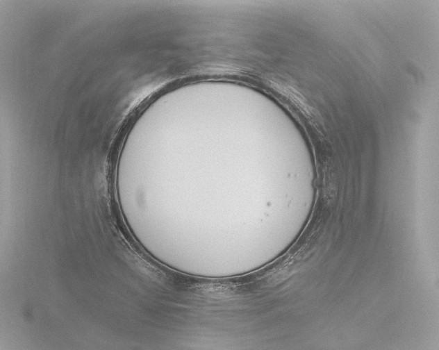 X0000116381404200912231351