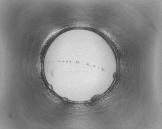 X0000116381408200912231351