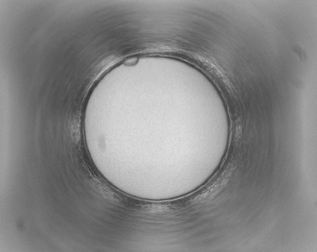 X0000116381409200912231351