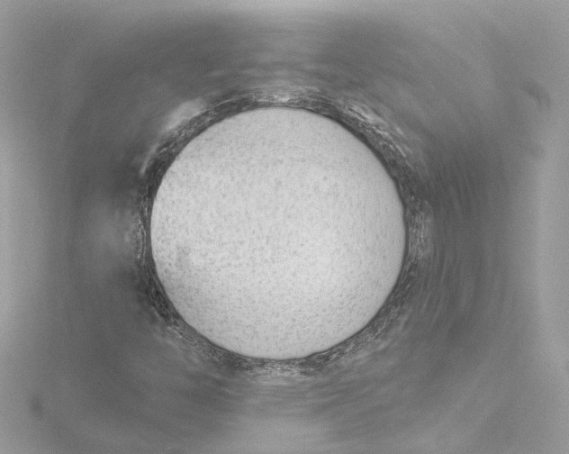 X0000116381446200912231351