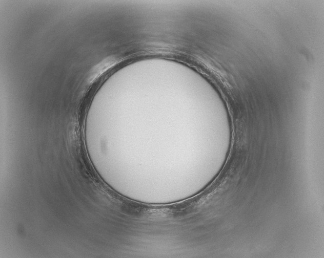 X0000116381453200912231351
