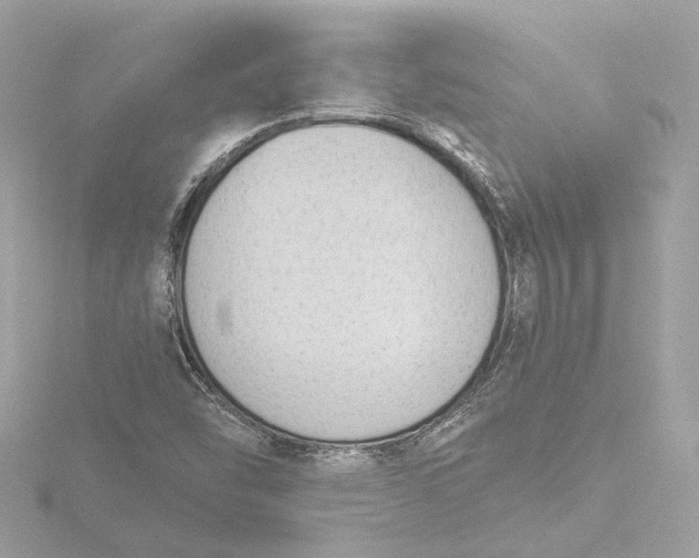 X0000116381454200912231351