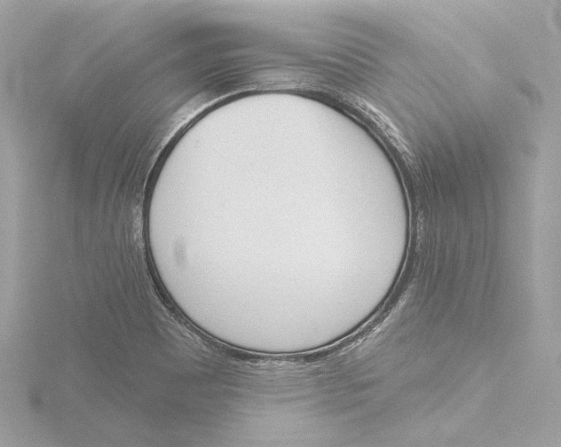 X0000116381465200912231351