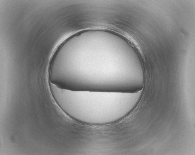 X0000116381480200912231350