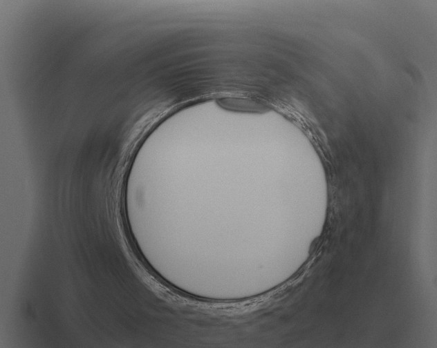 X0000116380001200912291739