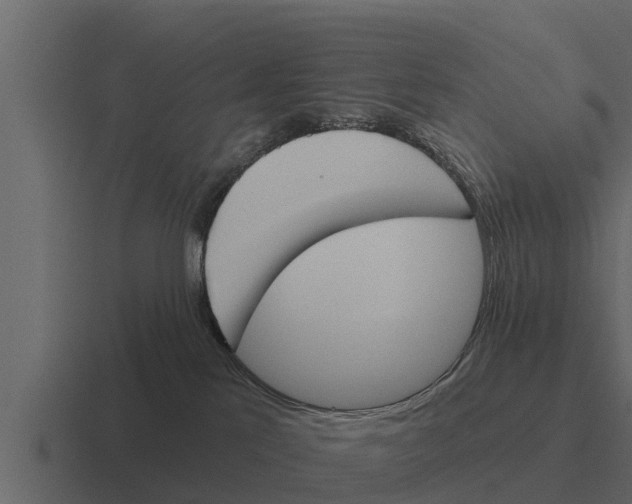 X0000116380041200912291739