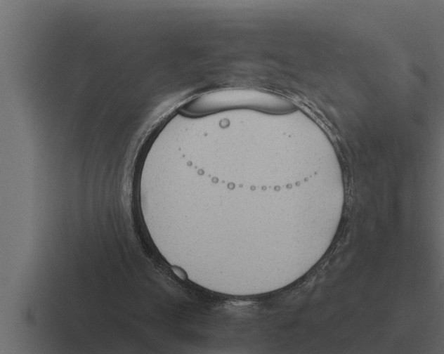 X0000116380055200912291738