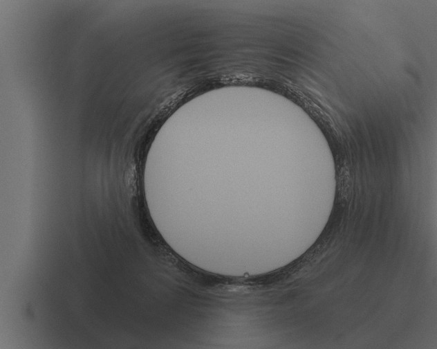 X0000116380224200912291736
