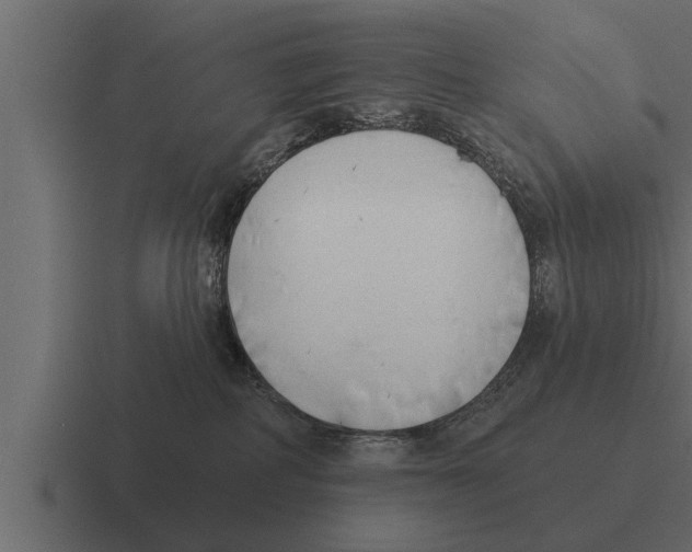 X0000116380234200912291736