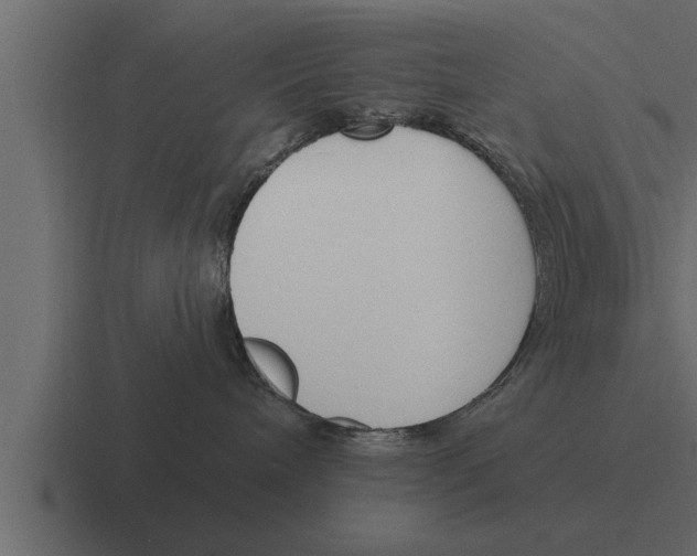 X0000116380240200912291736