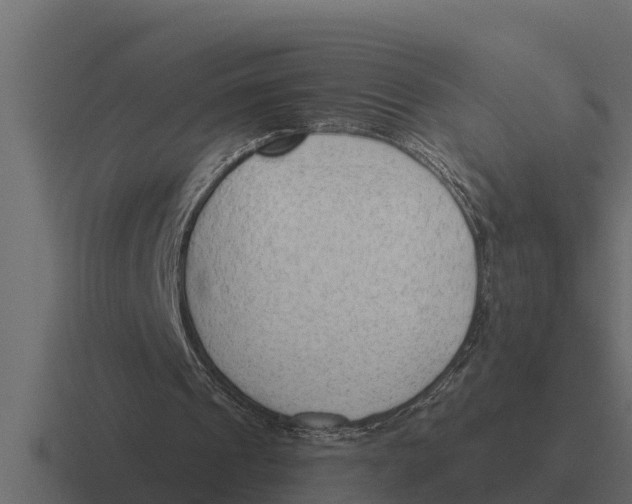 X0000116380241200912291736