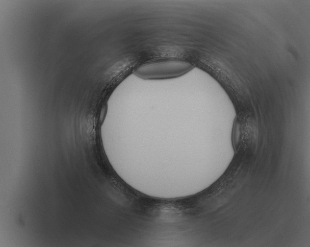 X0000116380264200912291736