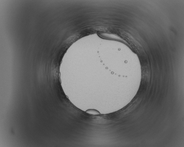 X0000116380285200912291736