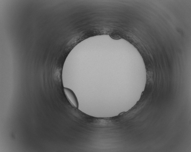 X0000116380286200912291736